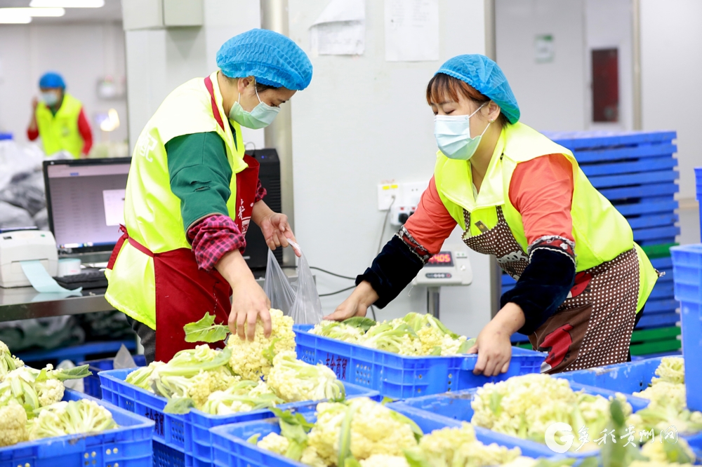 智慧对接助力农产品畅销——遵义汇川食品销售新篇章